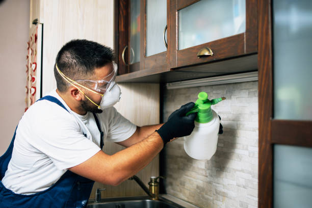 Best Residential Pest Control  in Rochester, MI