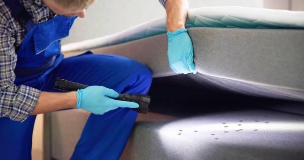 Reliable Rochester, MI Pest Control Solutions