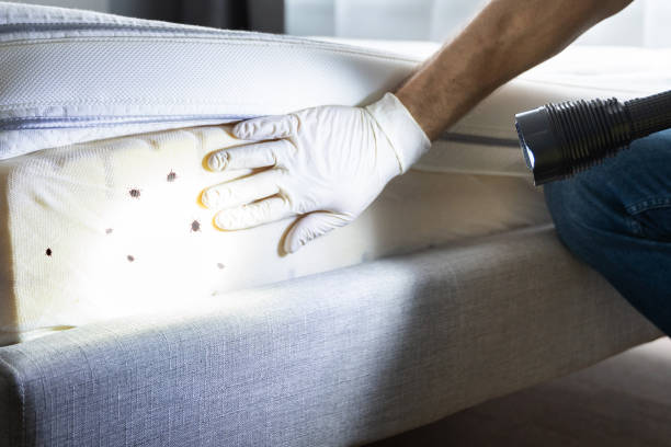 Best Best Pest Control Companies  in Rochester, MI