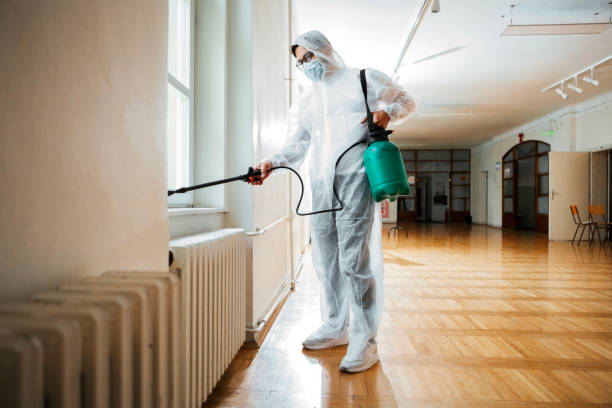 Best Pest Prevention Services  in Rochester, MI