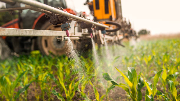 Best Mosquito Control Services  in Rochester, MI