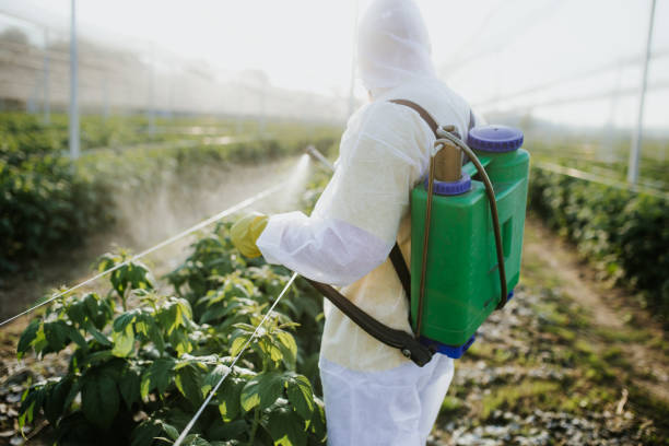 Best Pest Removal Services  in Rochester, MI